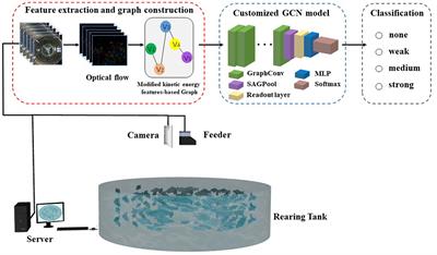 Modified kinetic energy feature-based graph convolutional network for fish appetite grading using time-limited data in aquaculture